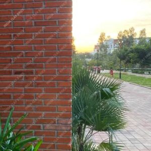 Plain Brown Terracotta Natural Clay Boundary Wall Cladding Brick Tile