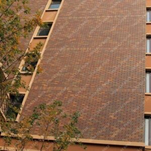 Plain Surface Antique Brown Mixed Natural Terracotta Clay Elevation Wall Cladding Brick Tile